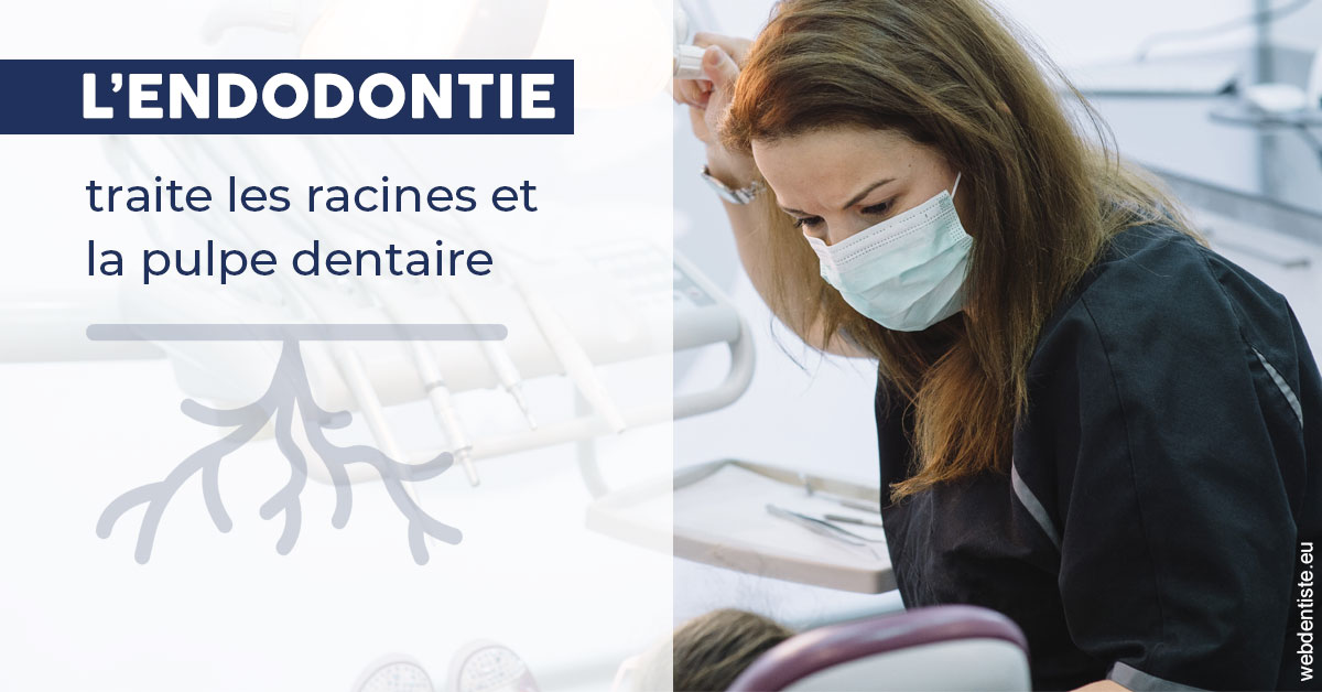 https://dr-lugon-emeric.chirurgiens-dentistes.fr/L'endodontie 1