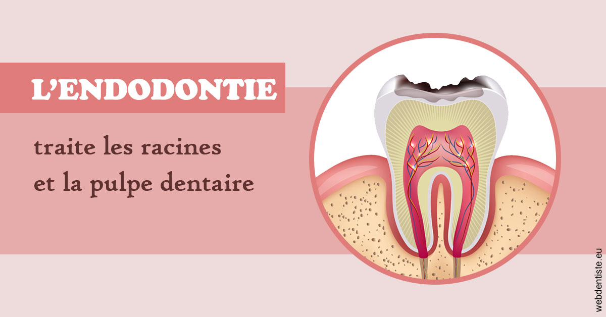 https://dr-lugon-emeric.chirurgiens-dentistes.fr/L'endodontie 2