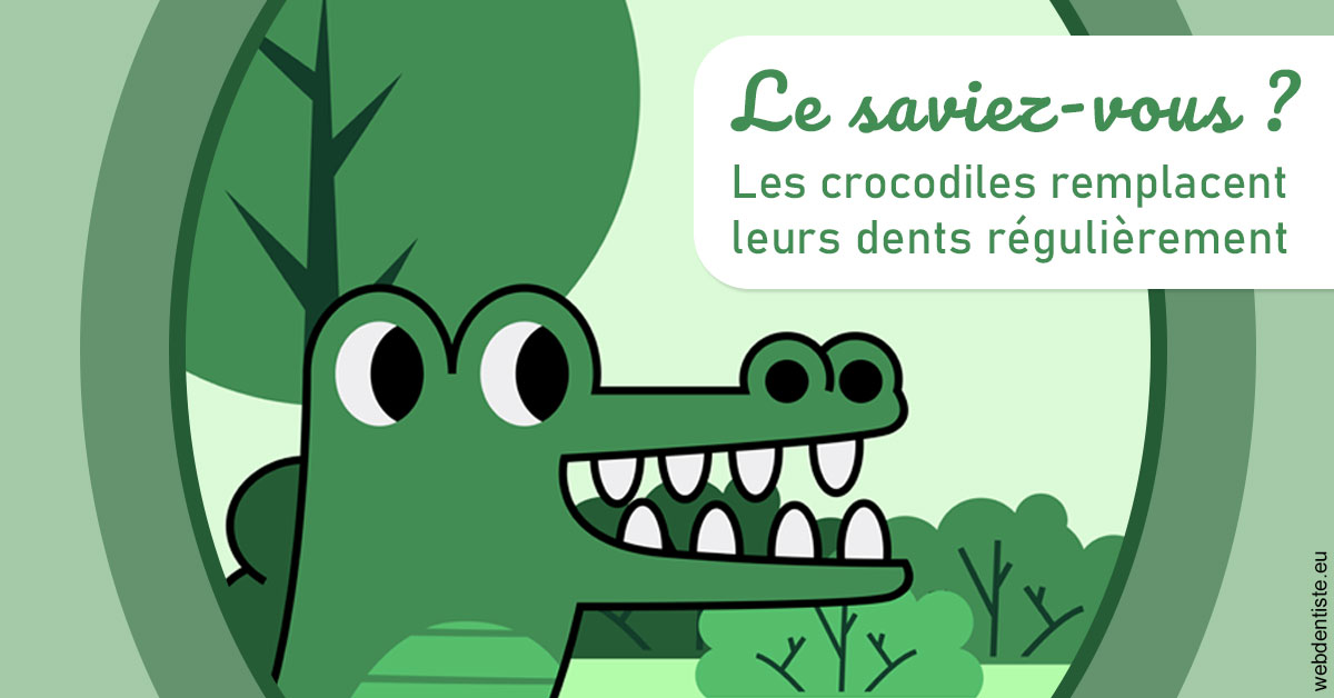 https://dr-lugon-emeric.chirurgiens-dentistes.fr/Crocodiles 2