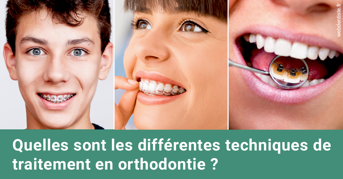 https://dr-lugon-emeric.chirurgiens-dentistes.fr/Les différentes techniques de traitement 2